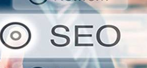 seo24-300.png seo24-300.png