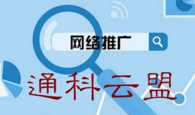 網(wǎng)站在線seo 網(wǎng)站在線seo
